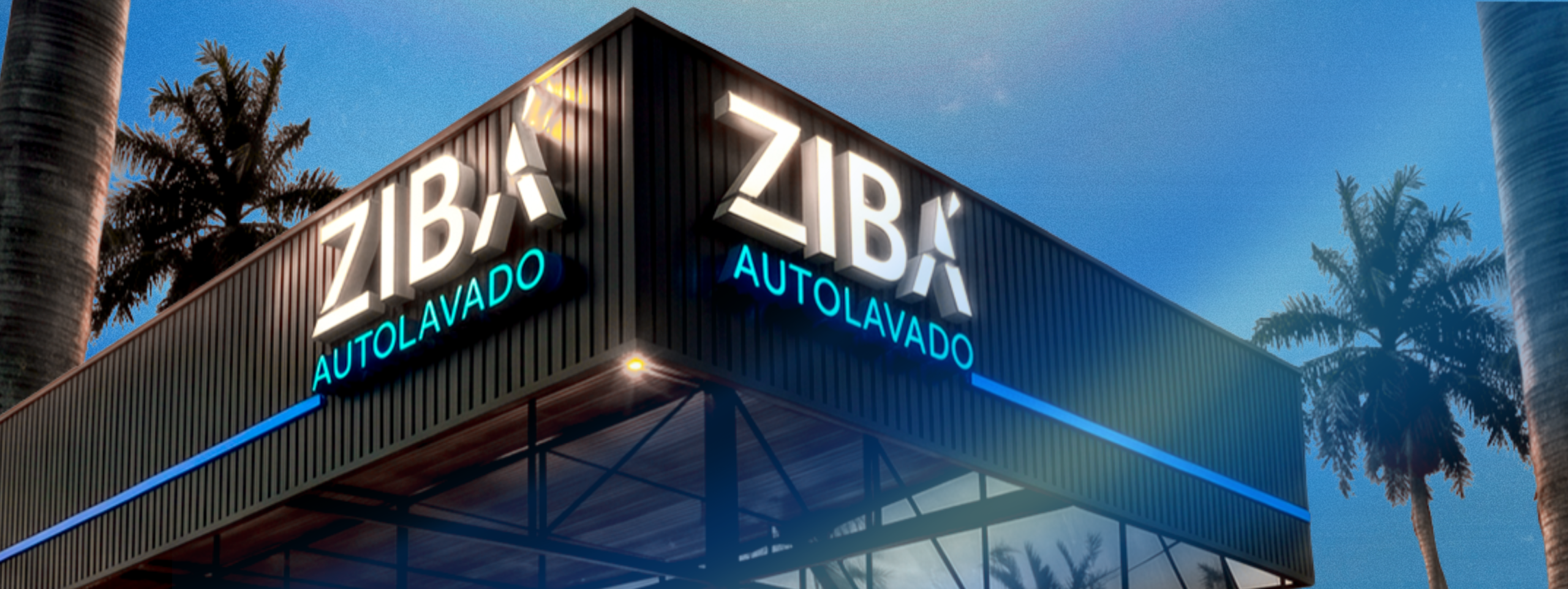 ziba_aportasds3